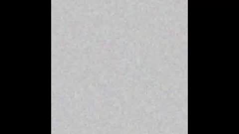  paola and a guest lol    online show from January 18, 11:54 am