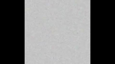  paola and a guest lol    online show from February 14, 11:53 am