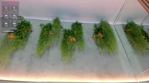 lana_lann online show from September 22, 12:03 pm