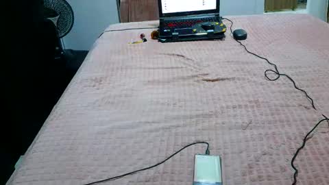 kelly online show from February 6, 2:26 am