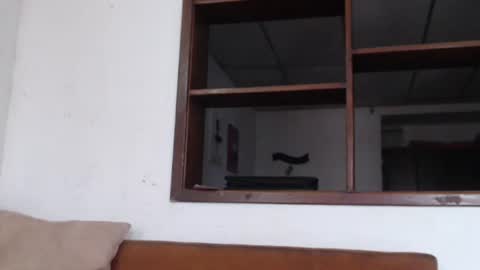 pamela online show from February 27, 2:21 pm