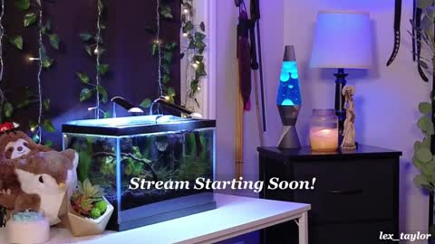 Lex online show from January 14, 4:15 am