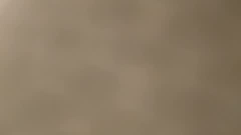 lilmiia online show from November 21, 12:29 pm