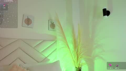   online show from February 17, 5:12 pm