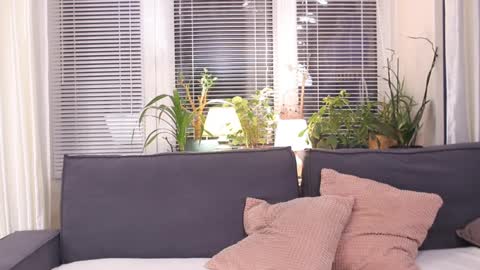 -- My Wishlist  online show from March 6, 12:41 pm