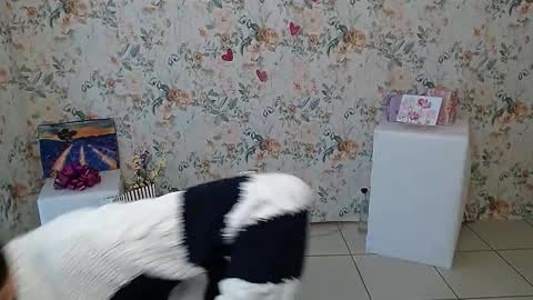 Lina online show from March 6, 7:14 am