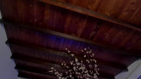 Lindsay    online show from October 9, 12:48 am