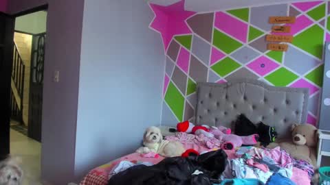 Im Laura. buy my contentcompra mi contenido offline  online show from September 22, 8:29 pm