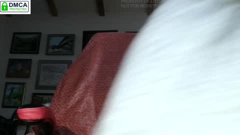 Miss D   Shows Mon Wed  Fri online show from February 7, 1:43 pm