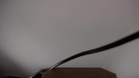 Viki online show from December 18, 11:15 am