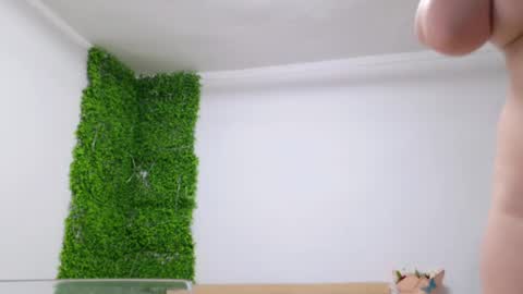 Amelia online show from February 25, 8:00 pm