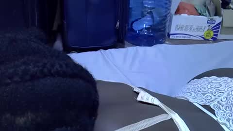 lotty_lavilla online show from December 3, 4:15 am