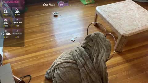 lucydreamsbaby online show from February 12, 6:19 pm