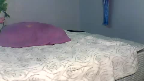 Bee Bee online show from October 16, 12:19 pm