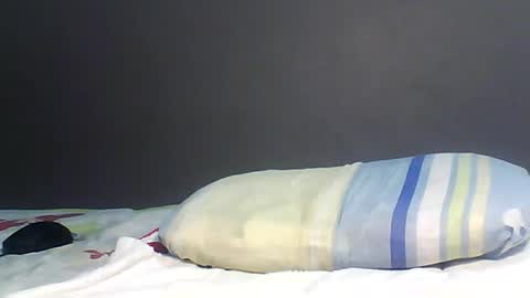 Bee Bee online show from February 2, 7:40 am