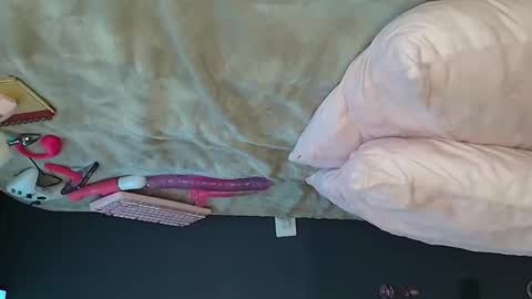 Dakota online show from November 21, 3:52 am