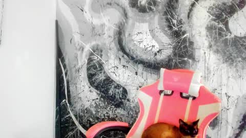 di online show from October 3, 6:35 pm