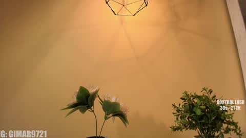 Marcela online show from September 11, 12:00 am