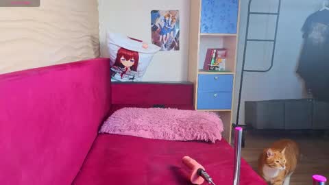 marci_n online show from June 4, 4:28 am