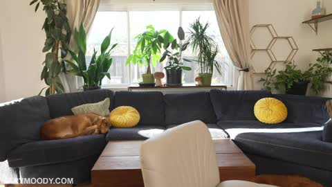 Mary Moody online show from March 29, 12:53 am