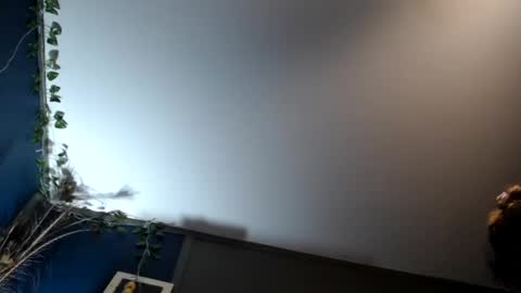 Max and Pam Voyeur Cam online show from February 16, 7:48 am