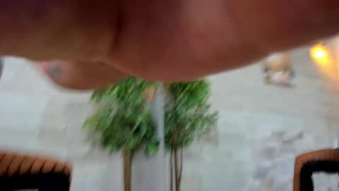 Maya online show from January 15, 6:08 am