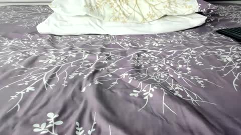 Maybelline69 online show from September 21, 3:05 am