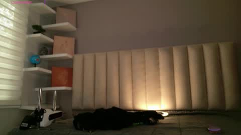     online show from February 10, 1:03 pm