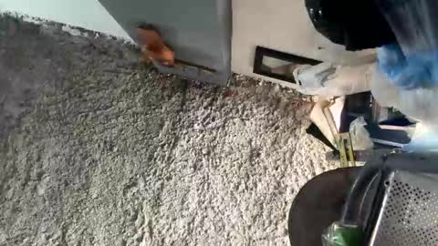 melodysnow online show from January 5, 5:49 pm