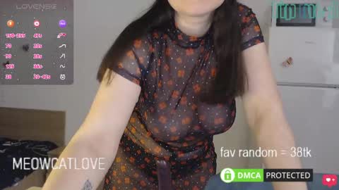 meowcatlove online show from January 27, 6:41 pm