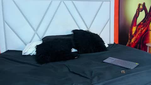 MIA KLEIM online show from March 8, 5:41 pm