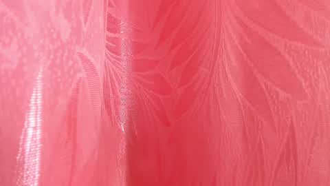 mia_nova5 online show from July 5, 11:49 am