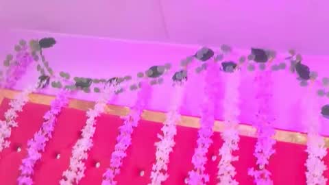 mia sweett69 online show from November 7, 8:36 pm