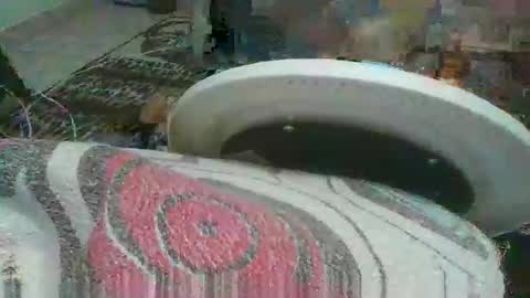 miagomezx online show from February 17, 4:45 am