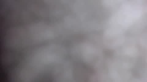 MiahLove31 online show from October 17, 4:59 am