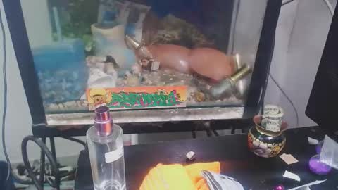 milk_women_dirty20 online show from November 22, 11:29 pm