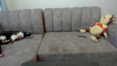 Loly online show from September 26, 2:25 pm