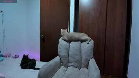 insta    online show from April 25, 3:09 am