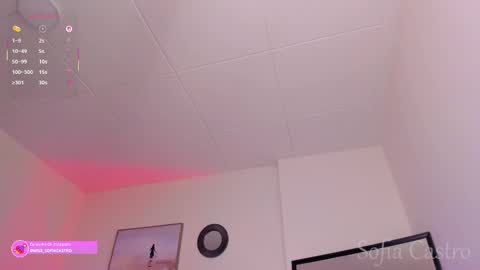 Sofia Castro online show from February 27, 10:37 am