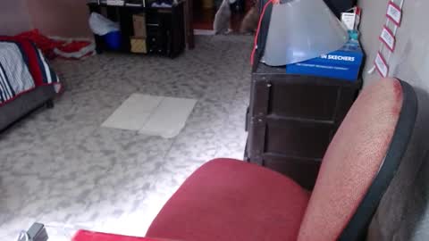 Maria Gomezz online show from March 24, 6:46 pm