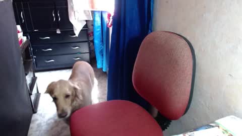 Maria Gomezz online show from October 14, 4:42 pm