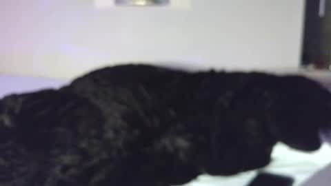 missmickeymay online show from January 18, 5:59 am