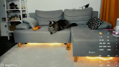 Hi everyone Im Tina online show from October 17, 5:16 pm