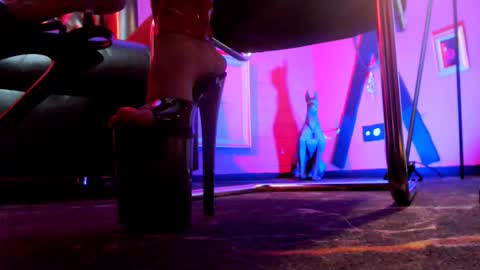 Monika online show from February 4, 11:13 am