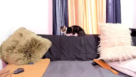 Miss Justine online show from March 21, 9:20 pm