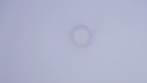 Maira online show from February 3, 6:28 pm