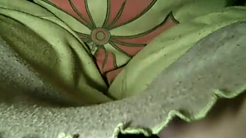 NASTENA 80 online show from June 29, 11:37 pm