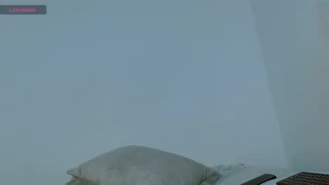 nathasha online show from December 5, 7:05 am