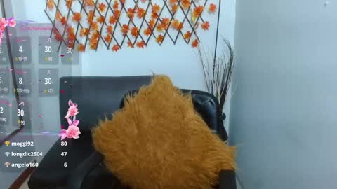 Nati online show from December 7, 7:27 am