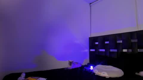 LANAindependent model online show from November 22, 7:00 am